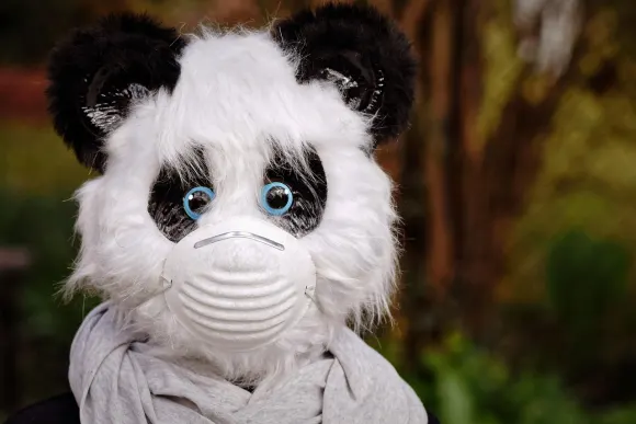 Unibet Casino Ënnerstëtzung